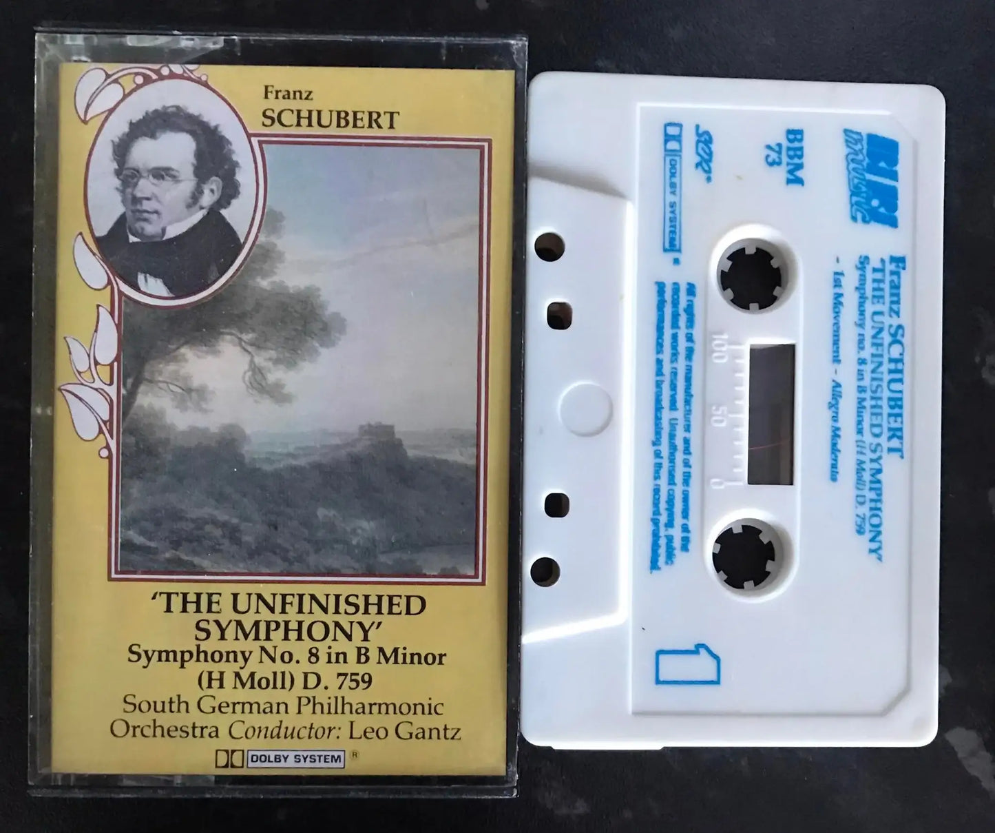 Franz Schubert, The Unfinished Symphony, Leo Gantz, BBM 73, Bibi Magretro