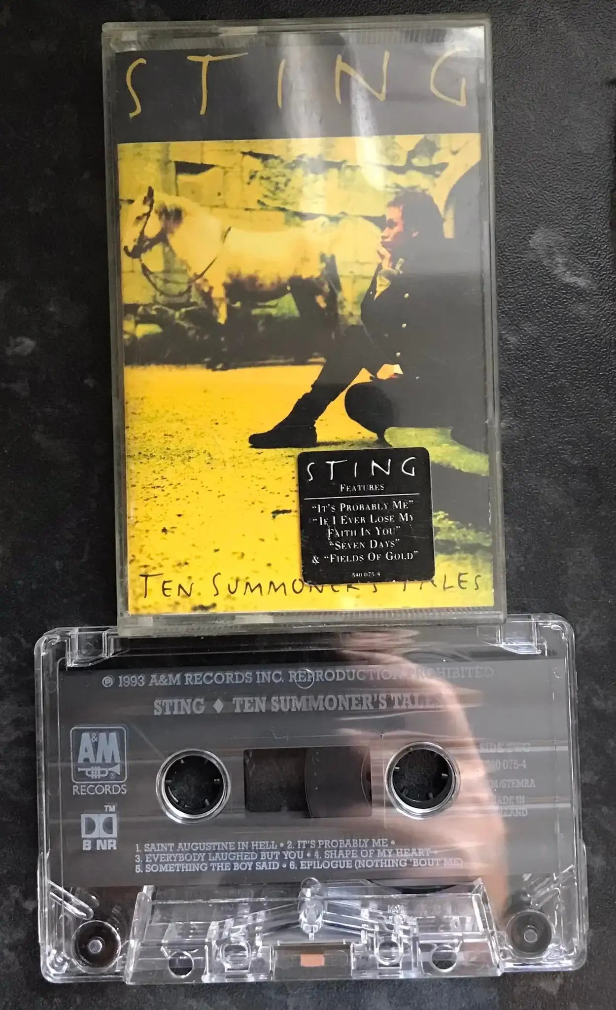 Sting, Ten Summoners Tales Album, AIM, 540 074-4, Vintage Cassette Magretro