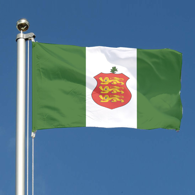 Flag with a coat of arms on a green and white background against a clear blue sky.