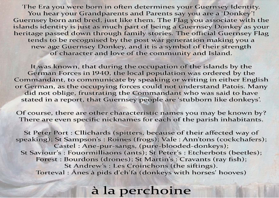 Text on Guernsey identity and flag with a Guernsey flag in the background